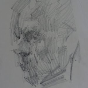 Head Study
